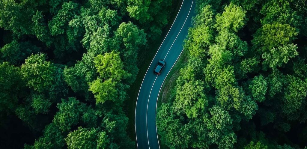 A car on a forest road