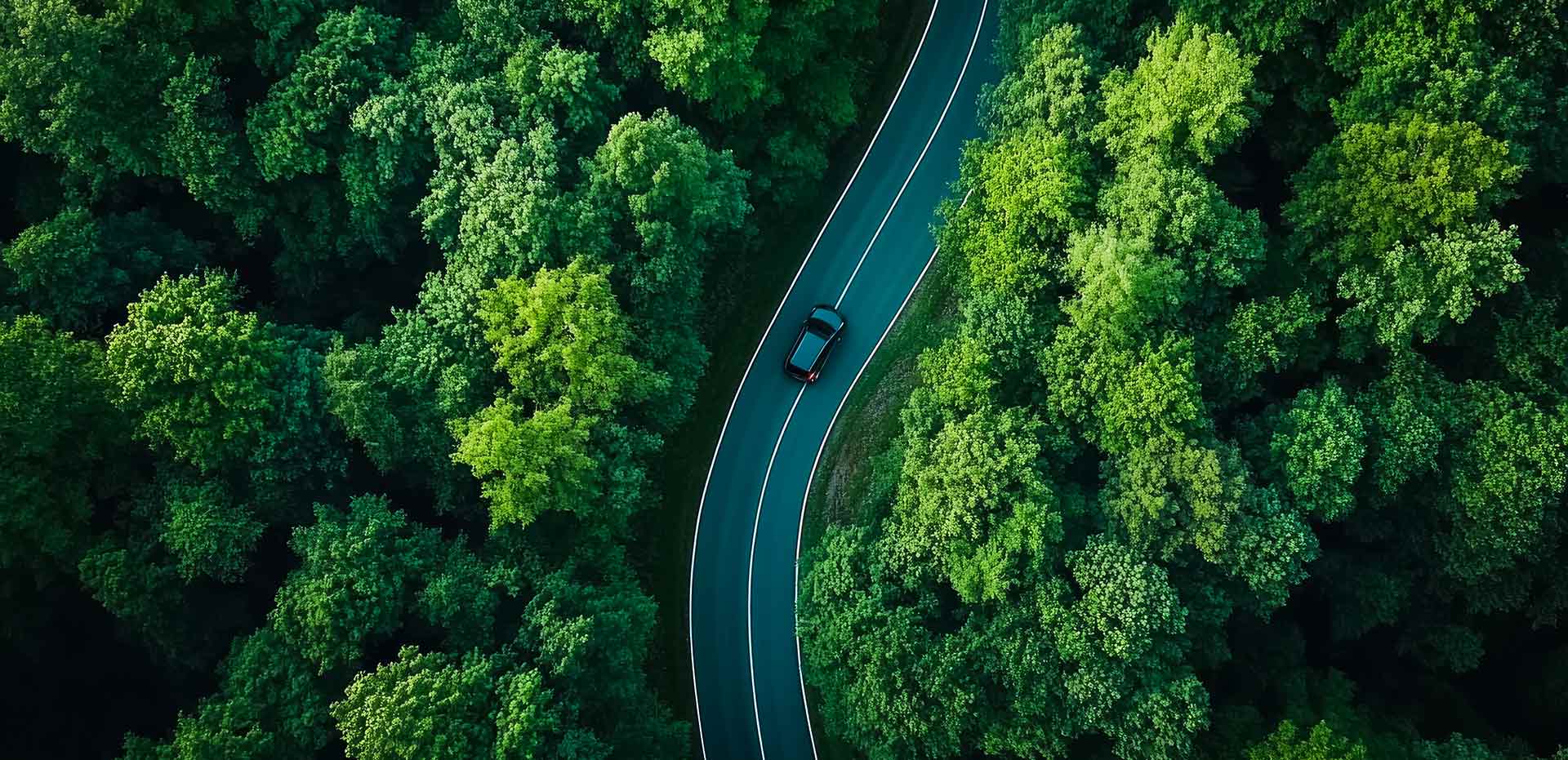 A car on a forest road